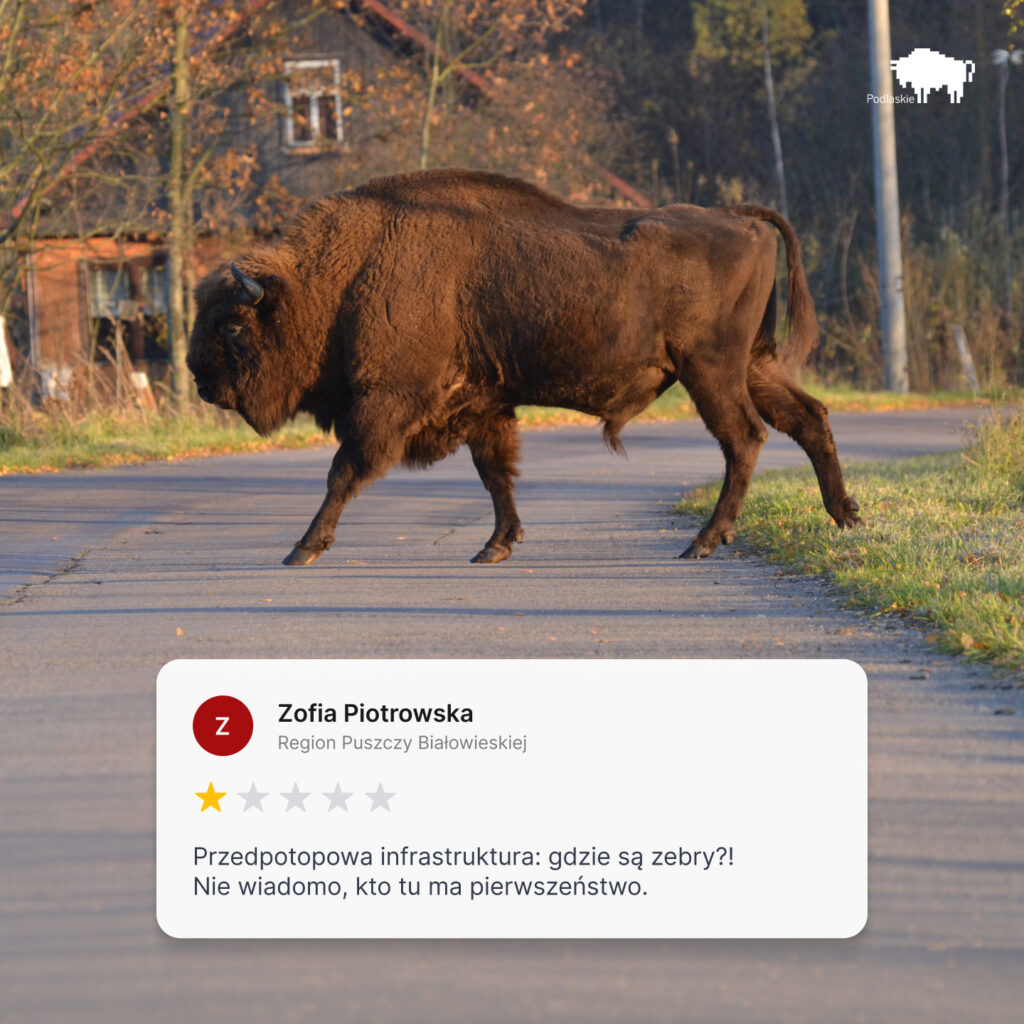 Białowieża - kampania Rozczaruj się w Naturze - województwo podlaskie