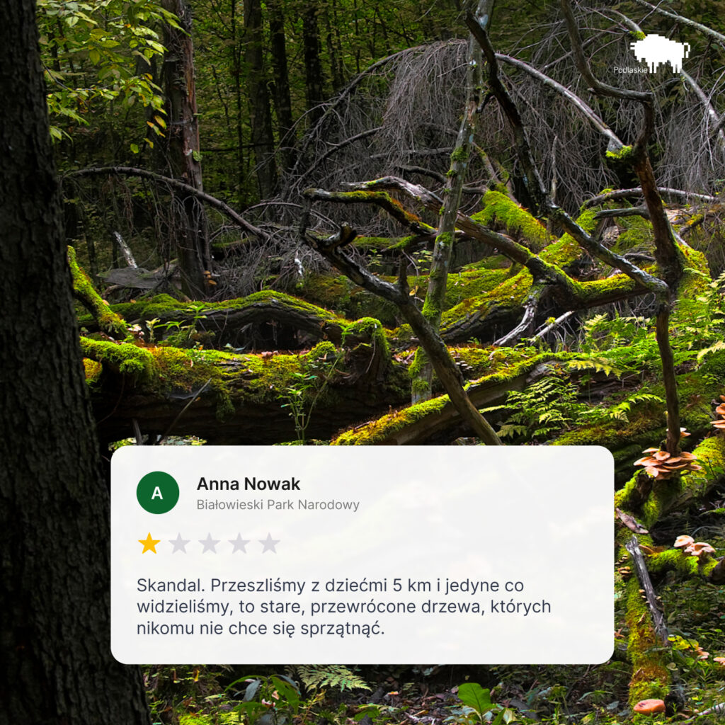 Puszcza Białowieska - Rozczaruj się w Naturze - kampania Podlaskiego na majówkę