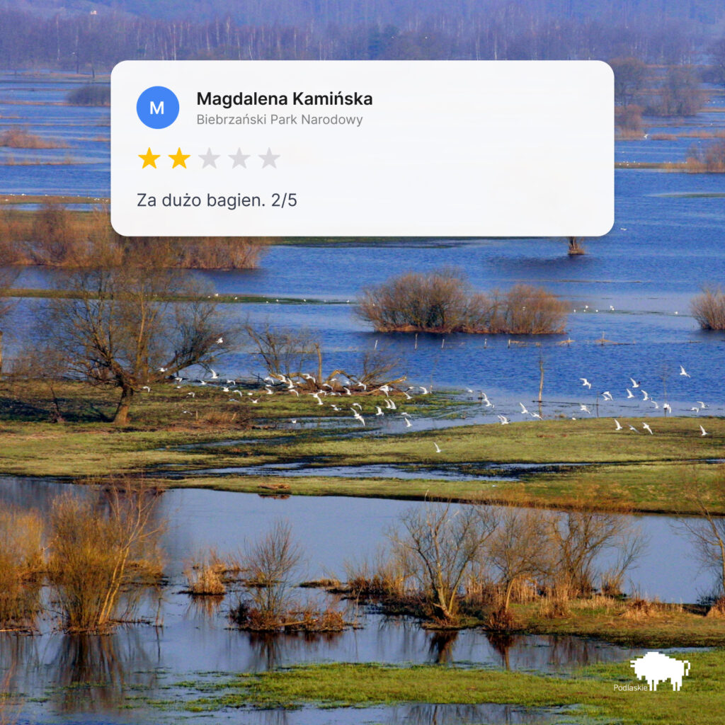 Biebrzański Park Narodowy - za dużo bagien - kampania podlaskiego na majówkę stylizowana na opinie Google Maps.